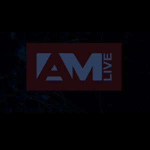 Выступление Дениса Безкоровайного на конференции 