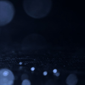 New Relic Honorable Partner of the Year